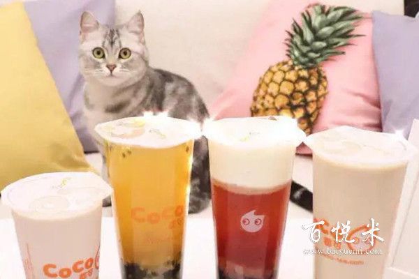 奶茶十大品牌排行榜，奶茶加盟最有前景的十大品牌排名