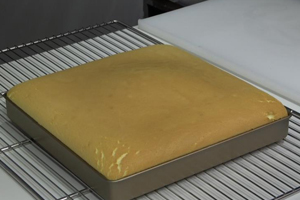 肉松盒子蛋糕的做法大全，盒子蛋糕培訓圖文教程分享