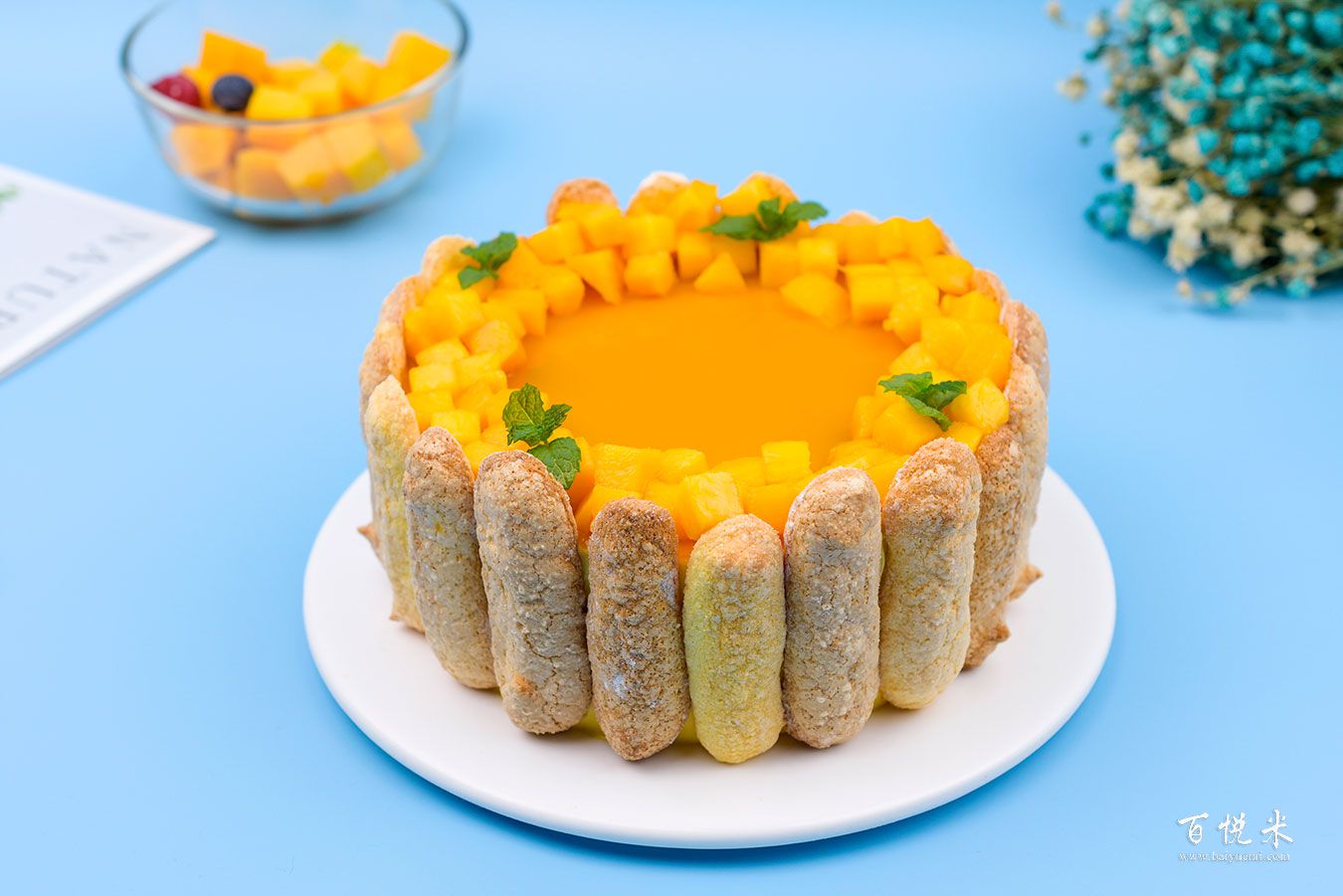 芒果夏洛特蛋糕高清圖片大全【蛋糕圖片】_464