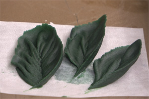 韓式裱花葉子_花藤的做法大全，韓式裱花西點培訓(xùn)圖文教程分享