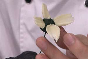 韓式裱花葉子_花藤的做法大全，韓式裱花西點培訓(xùn)圖文教程分享