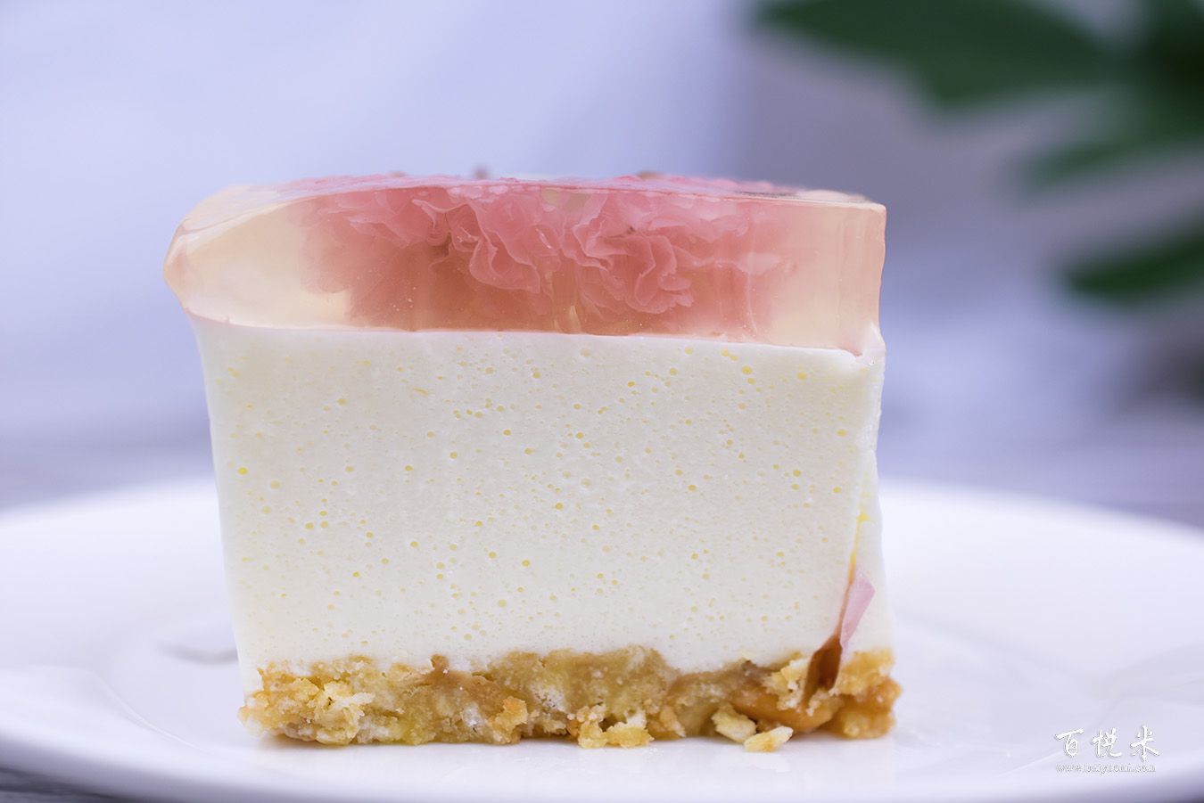 櫻花酸奶慕斯高清圖片大全【蛋糕圖片】_1040