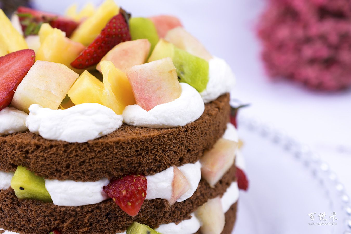 巧克力裸蛋糕高清圖片大全【蛋糕圖片】_1119